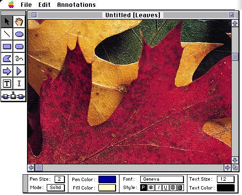 Scitex — Echo — image 1