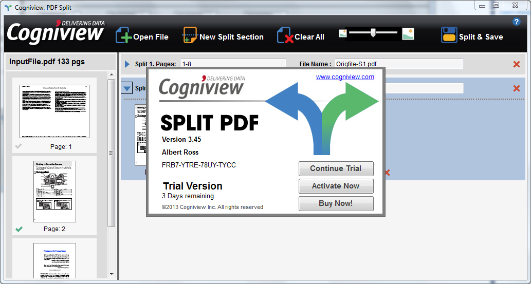 CogniView — Split PDF — image 3