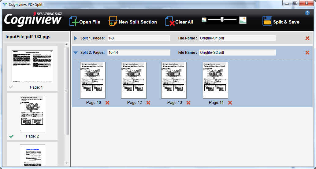 CogniView — Split PDF — image 2