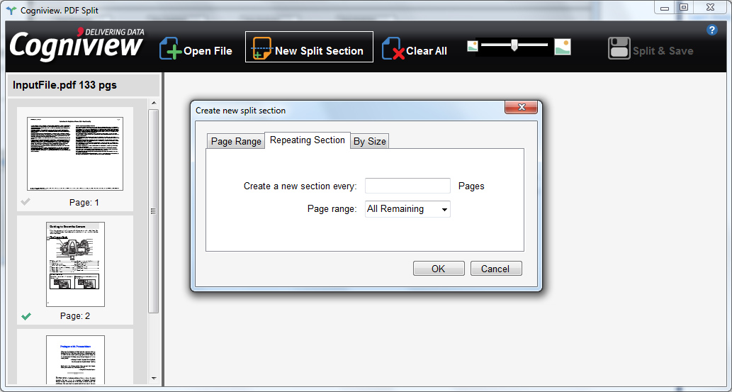CogniView — Split PDF — image 1